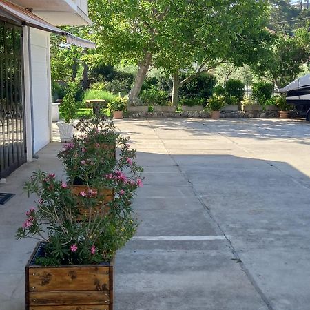 Apartment-Rooms Preka Palit Екстер'єр фото